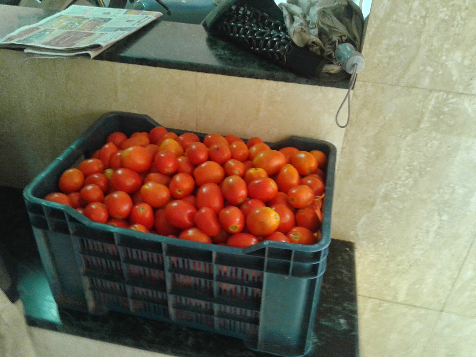 Tomatoes Sold At Low Cost Price