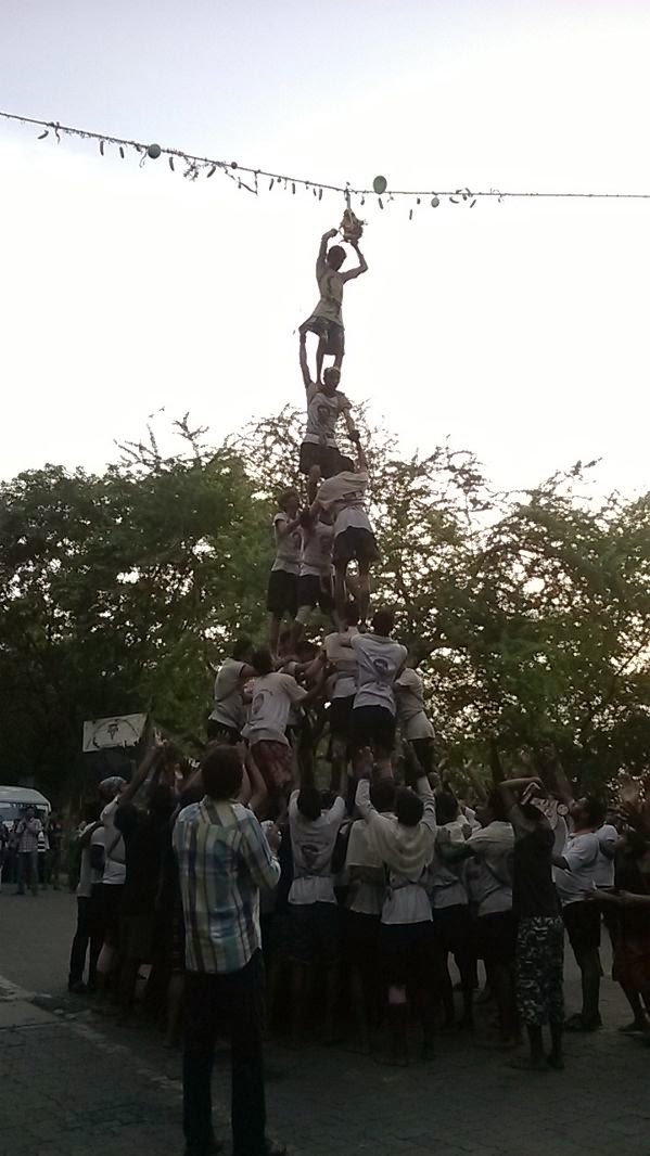 Dahi Handi 2014